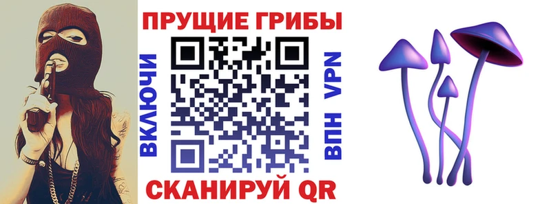 ссылка на мегу зеркало  Мамадыш  Галлюциногенные грибы Psilocybine cubensis  как найти закладки 